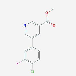 molecular formula C13H9ClFNO2 B1627691 Methyl 5-(4-chloro-3-fluorophenyl)nicotinate CAS No. 893734-89-9