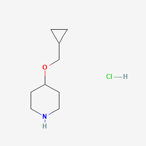 molecular formula C9H18ClNO B1627728 4-(环丙基甲氧基)哌啶盐酸盐 CAS No. 1050509-48-2