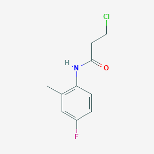 molecular formula C10H11ClFNO B1627916 3-chloro-N-(4-fluoro-2-methylphenyl)propanamide CAS No. 895664-33-2