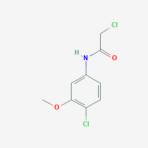 molecular formula C9H9Cl2NO2 B1627926 2-Chloro-N-(4-chloro-3-methoxyphenyl)acetamide CAS No. 875656-37-4