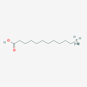 molecular formula C12H24O2 B1628043 (1213C)dodecanoic acid CAS No. 287100-85-0