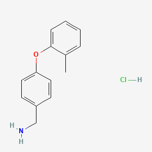 molecular formula C14H16ClNO B1628302 4-(2-Methylphenoxy)benzylamine hydrochloride CAS No. 1172923-95-3