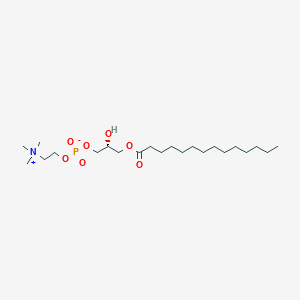 1-Myristoyl-sn-glycero-3-phosphocholine