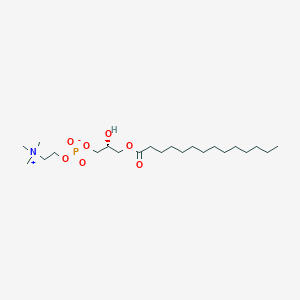 molecular formula C22H46NO7P B162887 1-Myristoyl-sn-glycero-3-phosphocholine CAS No. 20559-16-4