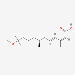 molecular formula C16H28O3 B1629048 (2Z,4E,7S)-11-Methoxy-3,7,11-trimethyl-2,4-dodecadienoic acid CAS No. 207597-76-0