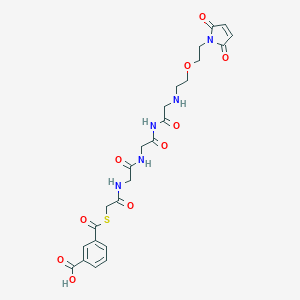 N-(5-Maleimido-3-oxapentyl)(2-(3-carboxybenzoyl)thio)acetylglycyl-glycyl-glycinamide