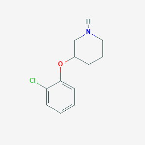 molecular formula C11H14ClNO B1629366 3-(2-Chlorophenoxy)piperidine CAS No. 902837-29-0