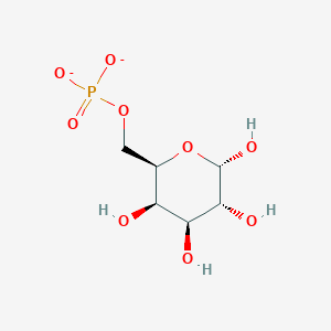 molecular formula C6H11O9P-2 B1629398 6-phospho-alpha-D-galactose CAS No. 32972-52-4