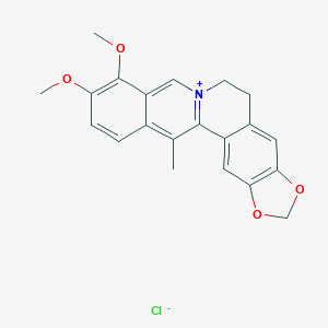 5,6-Dihydro-9,10-dimethoxy-13-methylbenzo(g)-1,3-benzodioxolo(5,6-a)quinolizinium chloride