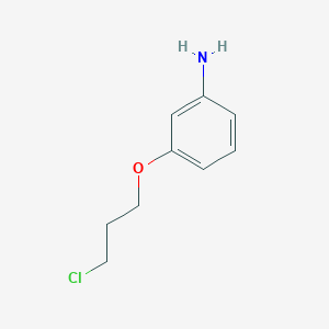 molecular formula C9H12ClNO B1629758 3-(3-Chloropropoxy)aniline CAS No. 79668-76-1