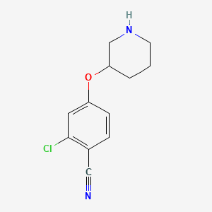 molecular formula C12H13ClN2O B1630184 2-Chloro-4-(3-piperidinyloxy)benzonitrile CAS No. 902836-92-4