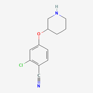 2-Chloro-4-(3-piperidinyloxy)benzonitrile
