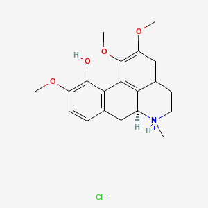 molecular formula C20H24ClNO4 B1630864 Isocorydine hydrochloride CAS No. 66968-08-9