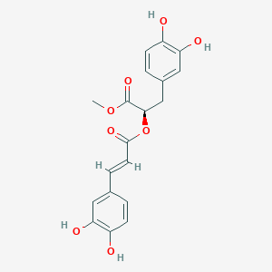 molecular formula C19H18O8 B1631085 Methyl rosmarinate CAS No. 99353-00-1