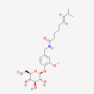 molecular formula C24H37NO8 B1631198 Capsaicin beta-D-Glucopyranoside 