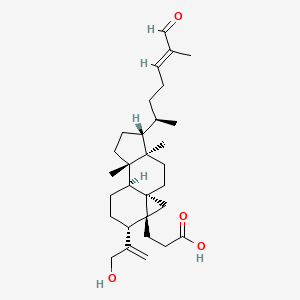 molecular formula C30H46O4 B1631386 Coronalolic acid 