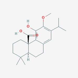 molecular formula C21H30O4 B1631458 12-Methoxycarnosic Acid CAS No. 62201-71-2