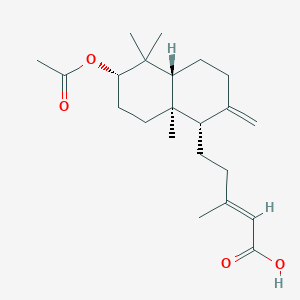 molecular formula C22H34O4 B1631600 3-Acetoxy-8(17),13E-labdadien-15-oic acid CAS No. 63399-37-1