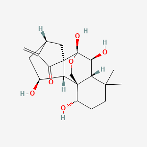 molecular formula C20H28O6 B1631839 Lasiodonin 