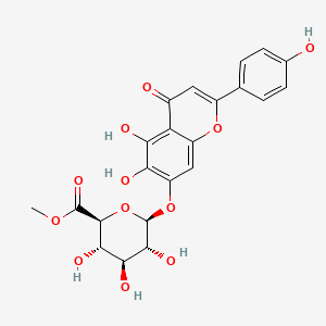 Scutellarin methyl ester