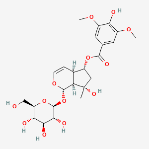 molecular formula C24H32O13 B1631976 6-O-Syringoylajugol CAS No. 144049-72-9