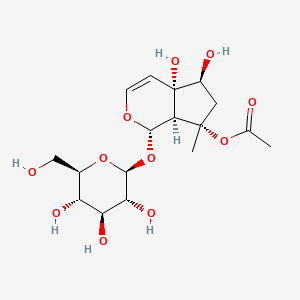 molecular formula C17H26O11 B1632422 6-Epi-8-O-acetylharpagide 