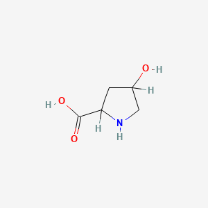 molecular formula C5H9NO3 B1632879 4-Hydroxyproline CAS No. 18610-59-8