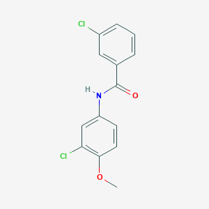 molecular formula C14H11Cl2NO2 B1633151 3-chloro-N-(3-chloro-4-methoxyphenyl)benzamide 