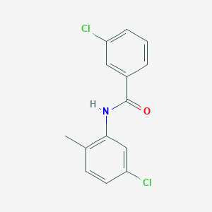 molecular formula C14H11Cl2NO B1633198 3-chloro-N-(5-chloro-2-methylphenyl)benzamide 