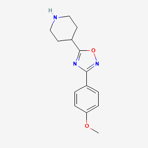 molecular formula C14H17N3O2 B1633552 4-[3-(4-Methoxyphenyl)-1,2,4-oxadiazol-5-yl]piperidine CAS No. 263383-24-0
