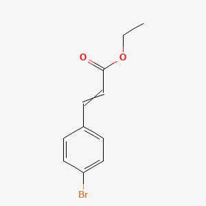 molecular formula C11H11BrO2 B1634100 Ethyl 3-(4-bromophenyl)acrylate 