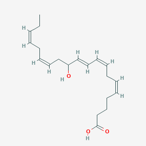 12-Hydroxyeicosapentaenoic acid