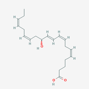 12-Hydroxyeicosapentaenoic acid, (12R)-