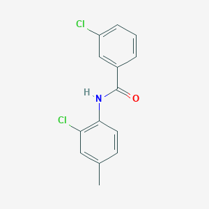 molecular formula C14H11Cl2NO B1639597 3-chloro-N-(2-chloro-4-methylphenyl)benzamide 