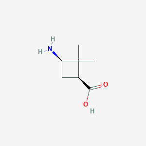 molecular formula C7H13NO2 B1641432 (1S,3R)-3-Amino-2,2-dimethylcyclobutanecarboxylic acid 