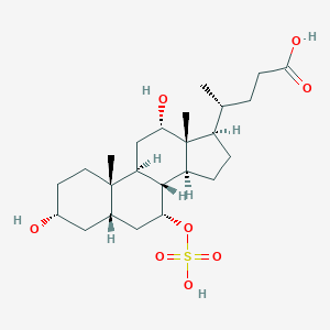 molecular formula C24H40O8S B164214 7-Sulfocholic acid CAS No. 60320-05-0