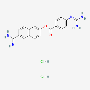 Nafamostat (hydrochloride)