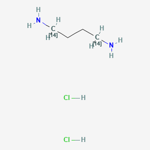 molecular formula C4H14Cl2N2 B1643125 Putrecine-1,4-14C dihydrochloride 