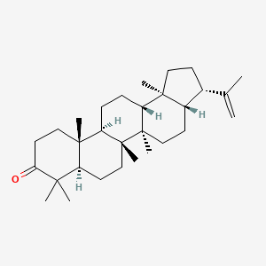 molecular formula C30H48O B1643617 3-Oxo-hop-22(29)-ene 