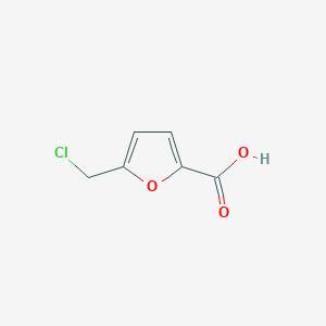 molecular formula C6H5ClO3 B1645963 5-(Chloromethyl)furan-2-carboxylic acid 