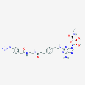 molecular formula C33H40N12O6 B164625 2-(4-(2-(2-((4-Azidophenyl)methylcarbonylamino)ethylaminocarbonyl)ethyl)phenyl)ethylamino-5'-N-ethylcarboxamidoadenosine CAS No. 129932-69-0