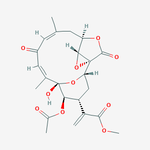 molecular formula C23H26O10 B164629 Bipinnatolide E CAS No. 134455-99-5