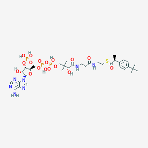 molecular formula C34H52N7O17P3S B164686 (R)-Ibuprofenyl-CoA CAS No. 135027-64-4