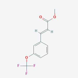 molecular formula C11H9F3O3 B1646865 Methyl 3-(trifluoromethoxy)cinnamate 