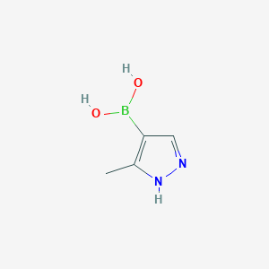molecular formula C4H7BN2O2 B1647199 (5-Methyl-1H-pyrazol-4-yl)boronic acid CAS No. 1071455-14-5