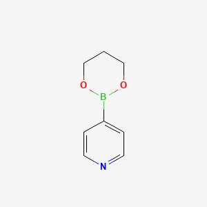 molecular formula C8H10BNO2 B1648429 4-(1,3,2-Dioxaborinan-2-YL)pyridine 