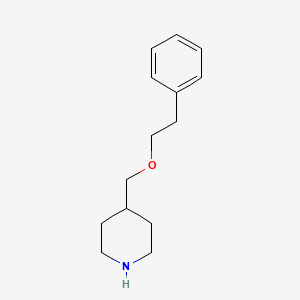 molecular formula C14H21NO B1648575 4-[(Phenethyloxy)methyl]piperidine 