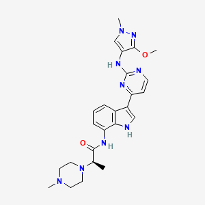 molecular formula C25H31N9O2 B1649327 Golidocitinib CAS No. 2091134-68-6