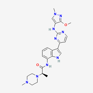 molecular formula C25H31N9O2 B1649327 Unii-3BY9Z3M34G CAS No. 2091134-68-6