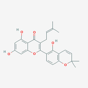 molecular formula C25H24O6 B1649371 Kuwanon B CAS No. 62949-78-4